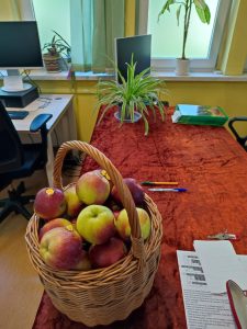stół jury i kosz z owocami
