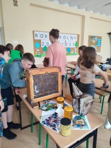 uczniowie oglądają pszczoły