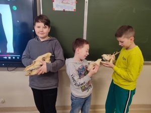 uczniowie prezentują modele czaszek i innych elementów szkieletu